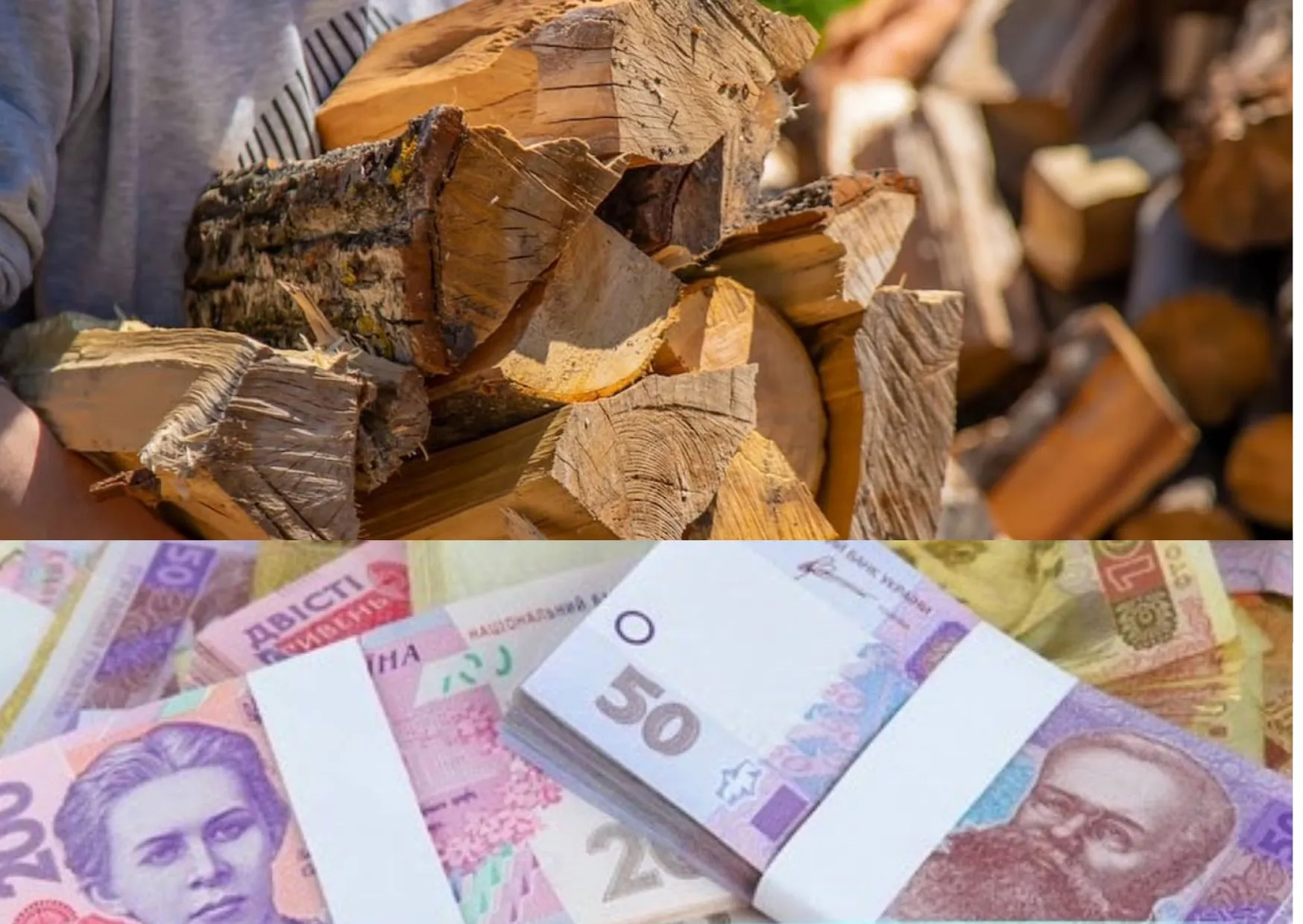 Фінансова допомога на пічне тверде паливо для зимового періоду ще в одній області: реєстрація