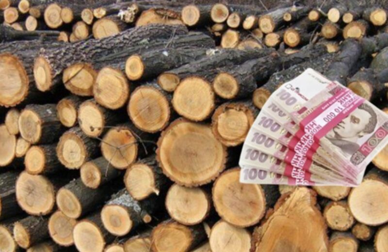 Останні дні подання заяви на отримання грошової допомоги на придбання твердого палива