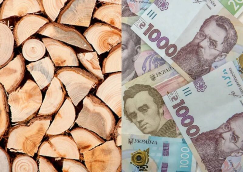Мешканці Донецької області можуть отримати грошову допомогу на придбання твердого палива