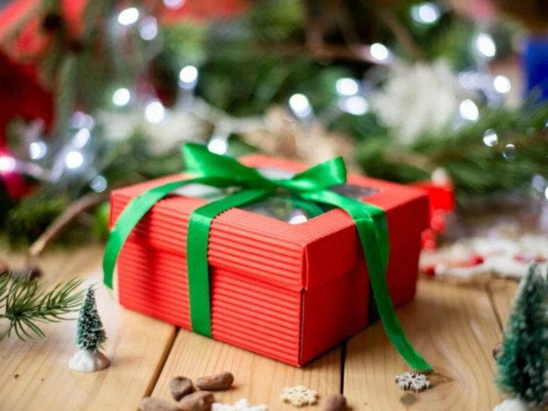 upload_1766671807726-1