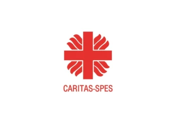 Грошова допомога до 32 400 грн для ВПО: «Карітас-Спес» запускає проект підтримки самозайнятості