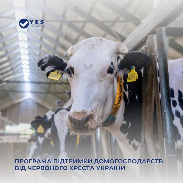 Гранти до 23 000 грн на тваринництво: програма від Червоного Хреста України
