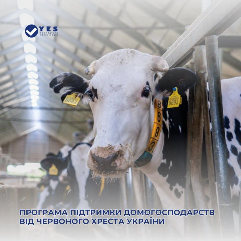Гранти до 23 000 грн на тваринництво: програма від Червоного Хреста України
