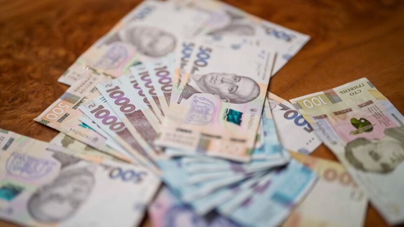 Грошова допомога від ACTED: як отримати кошти