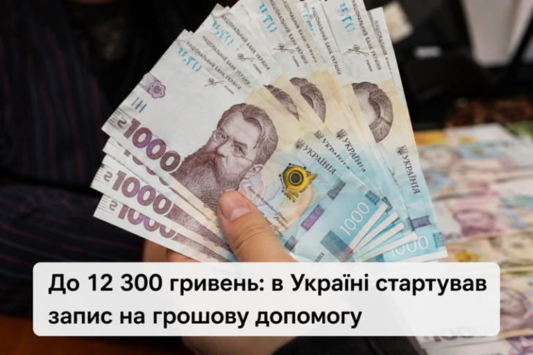 До 12 300 гривень: в Україні стартував запис на грошову допомогу