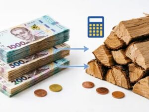 Одноразова грошова допомога: стартував прийом заявок