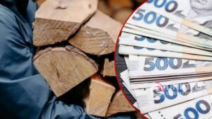 Опалювальний сезон 2026–2027: розпочато прийом заяв на матеріальну допомогу для купівлі твердого палива