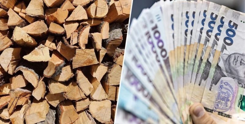 Грошова допомога до 19 400 грн на опалювальний сезон: прийом заяв відкрито!