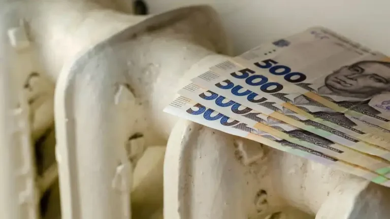 Грошова допомога на зимовий період: де відбудеться реєстрація 10 серпня і хто може подати заявку