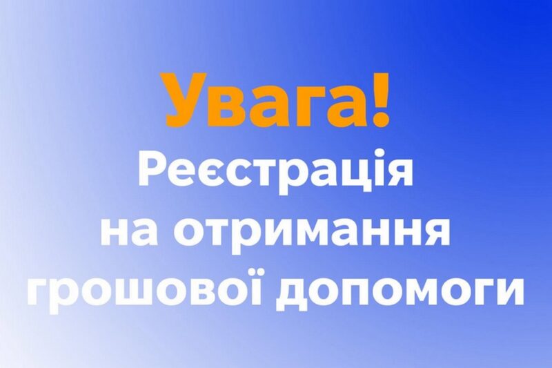 10 800 грн на кожну людину: в Україні доступна багатоцільова грошова допомога
