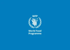 Додаткова грошова допомога від Всесвітньої Продовольчої Програми (WFP): умови та реєстрація