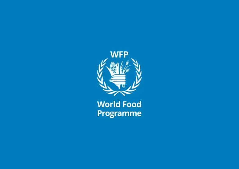 Додаткова грошова допомога від Всесвітньої Продовольчої Програми (WFP): умови та реєстрація