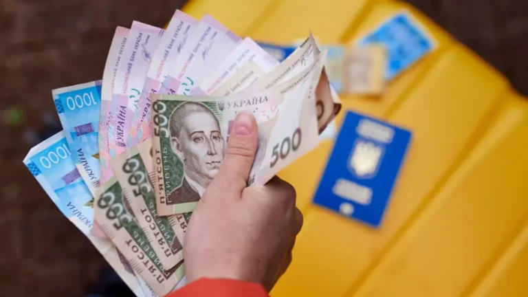 Грошова допомога українцям: 10 800 грн на людину + 24 000 грн на домогосподарство