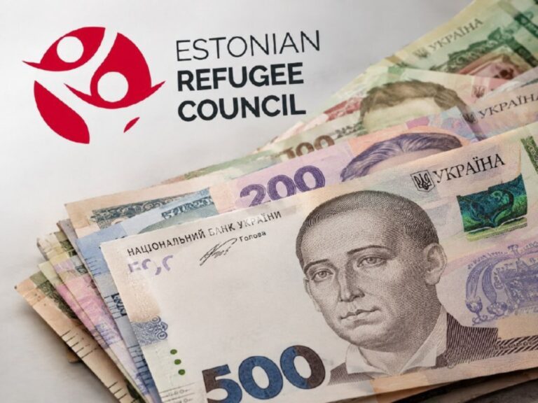 Як отримати фінансову підтримку: покрокова інструкція від Естонської ради