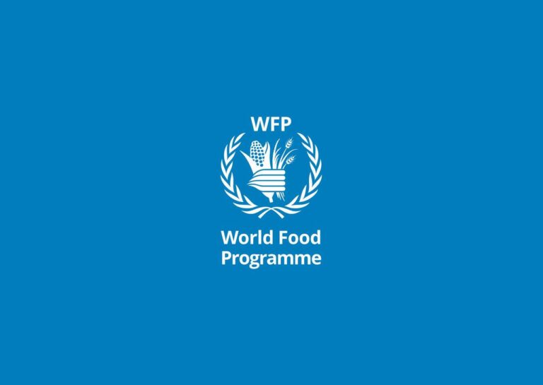 Видача продуктових наборів та реєстрація на грошову допомогу від ВПП (БФ «СпівДія»)