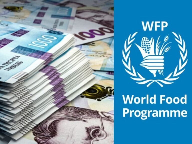 Важлива інформація! Як і хто може отримати допомогу від ВПП ООН